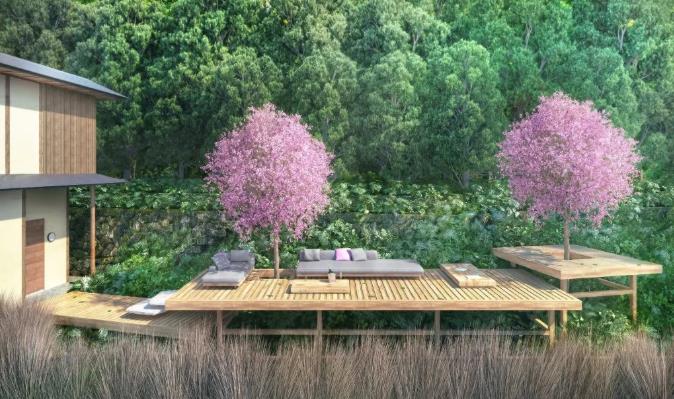 日本星野集团都有哪些酒店品牌呢？9