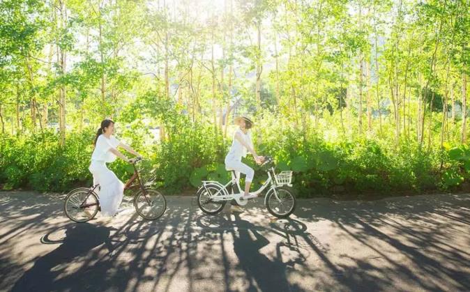 日本星野集团都有哪些酒店品牌呢？22