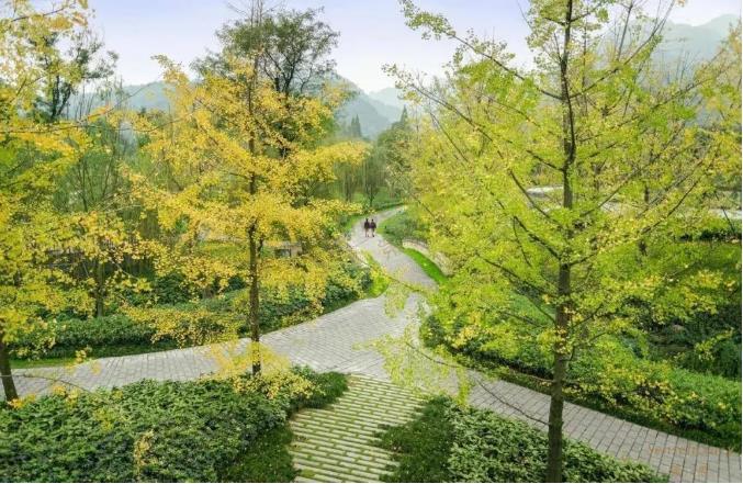 初夏爆款酒店推荐，给你一个不一样的夏天～1