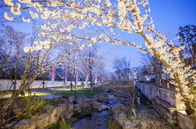 初夏爆款酒店推荐，给你一个不一样的夏天～13