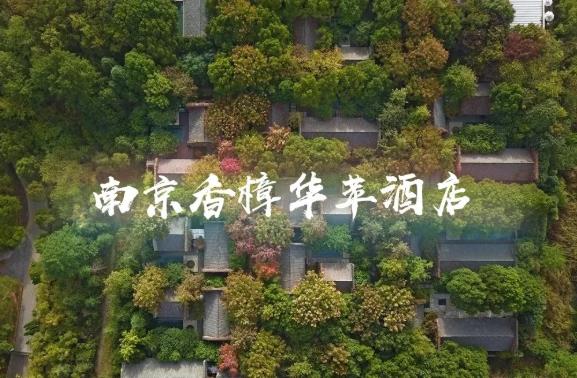 南京香樟华苹酒店 | 炎炎夏日的献礼1