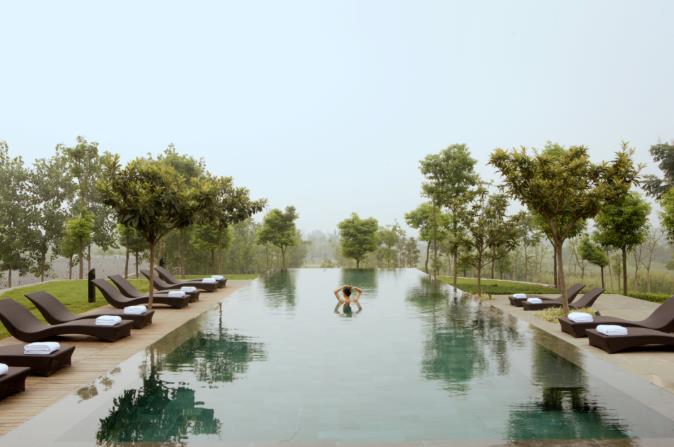 南京香樟华苹酒店 | 炎炎夏日的献礼6