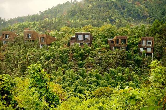 溧阳这座山里，竟藏着一条绝美的萤火虫之路！3