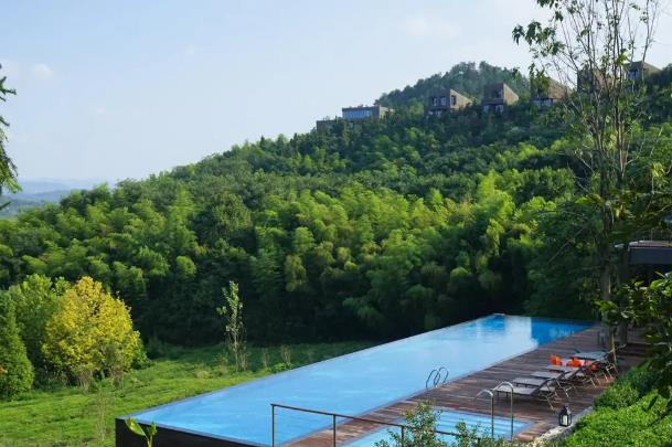 溧阳这座山里，竟藏着一条绝美的萤火虫之路！7