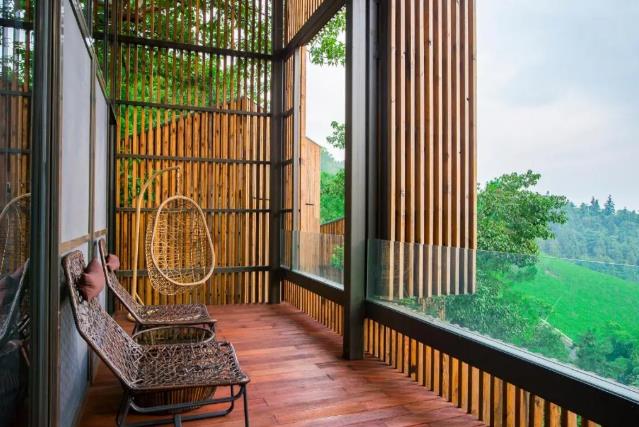 溧阳这座山里，竟藏着一条绝美的萤火虫之路！11