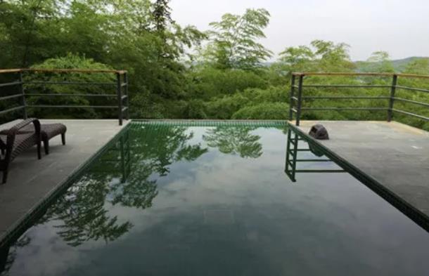 溧阳这座山里，竟藏着一条绝美的萤火虫之路！8