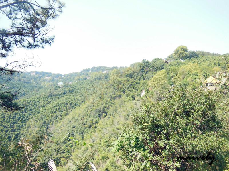 一年四季莫干山旅游最佳时间是什么时候呢？6