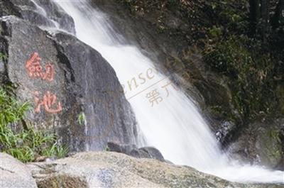 去浙江莫干山旅行有什么最该一游的观光旅游点呢？1