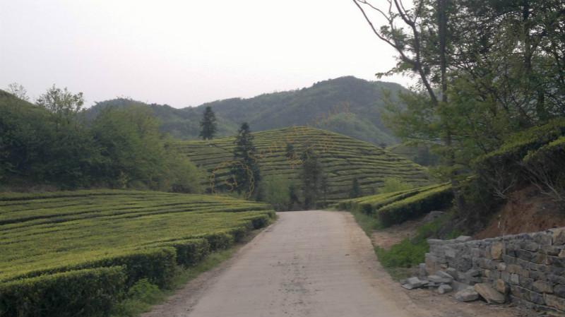 莫干山热门景点推荐，莫干山的魅力究竟在哪里？4