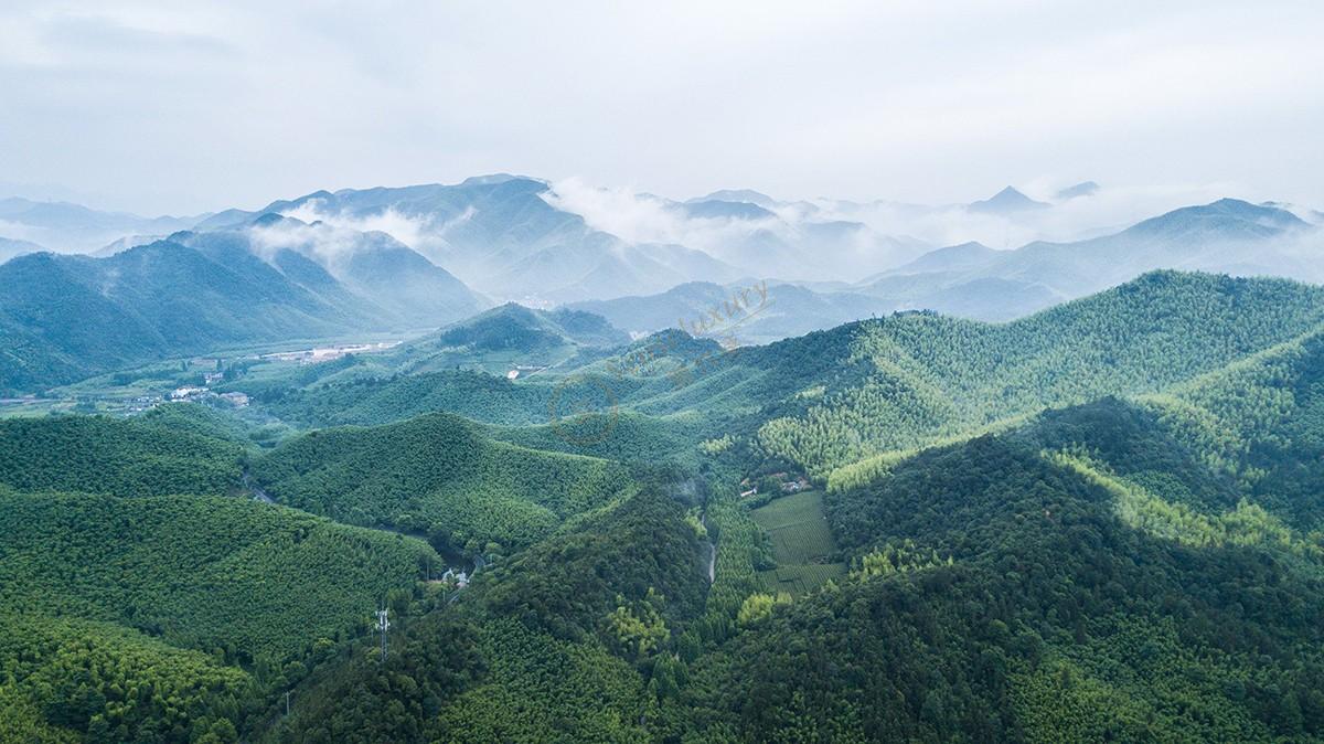 去莫干山游玩除了看风景也别忘了别墅群1