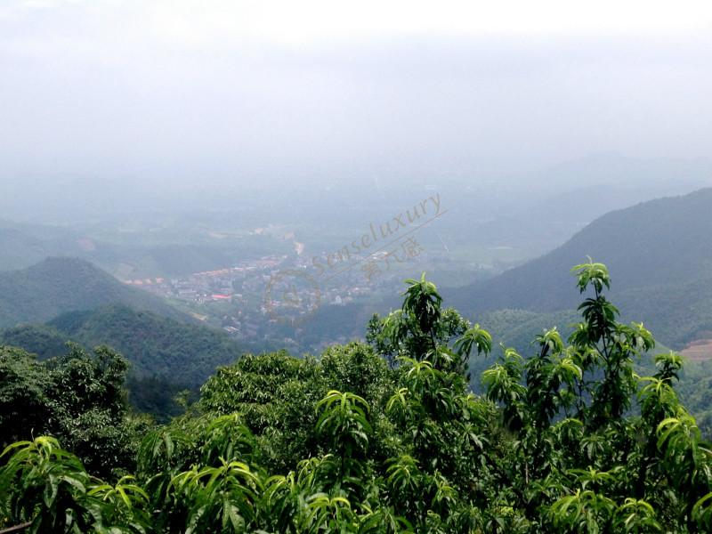 去莫干山游玩除了看风景也别忘了别墅群3