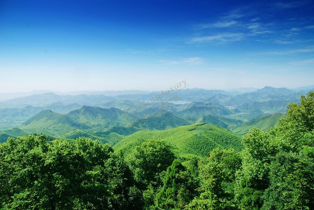 去莫干山游玩除了看风景也别忘了别墅群4