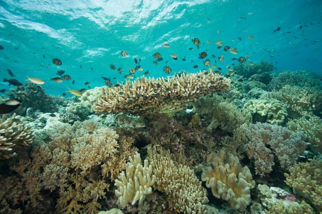 想知道三亚酒店哪家好？跟着小编来切实体验9