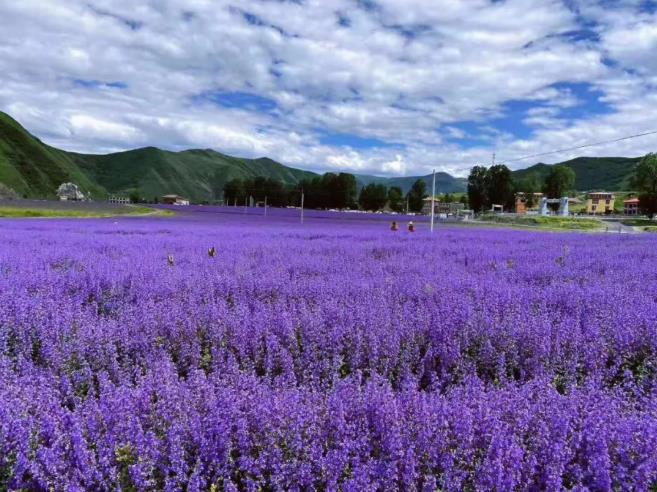 这个暑期不去三亚，还能去哪里呢？8