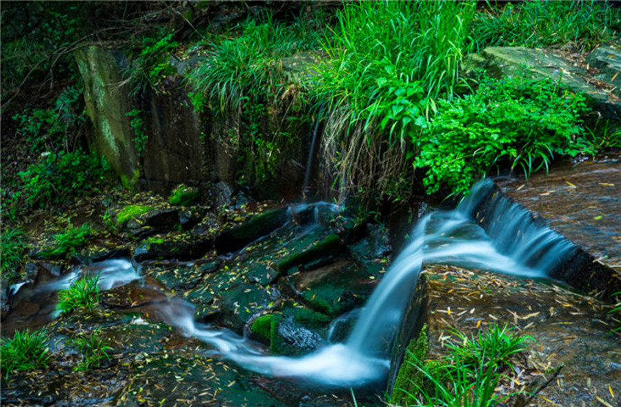 来莫干山旅行的话，住宿问题怎么解决呢？2