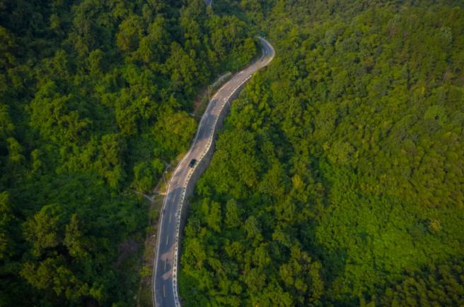 一家能带宠物入住的酒店,杭州桐庐康莱德2
