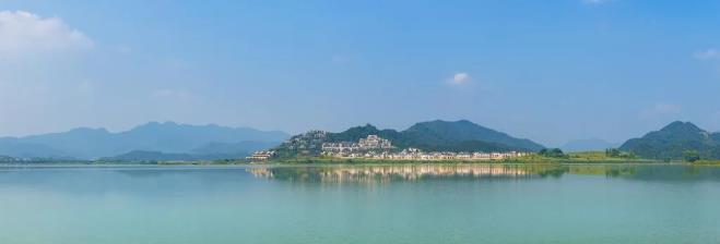 一家能带宠物入住的酒店,杭州桐庐康莱德6