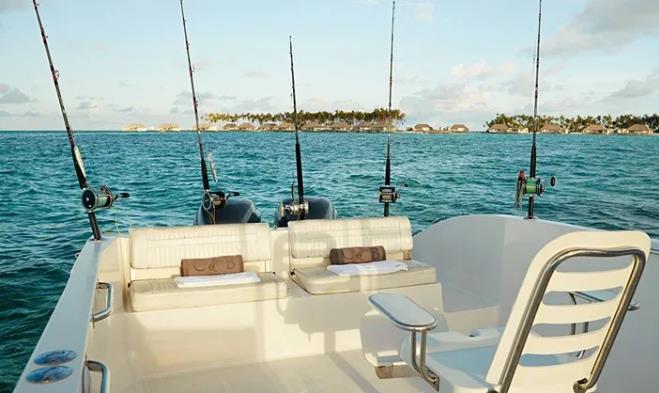 马尔代夫的白马庄园是一座极致奢华的“LV岛”27