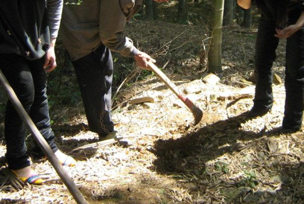 安吉旅游最佳季节是什么时候？3