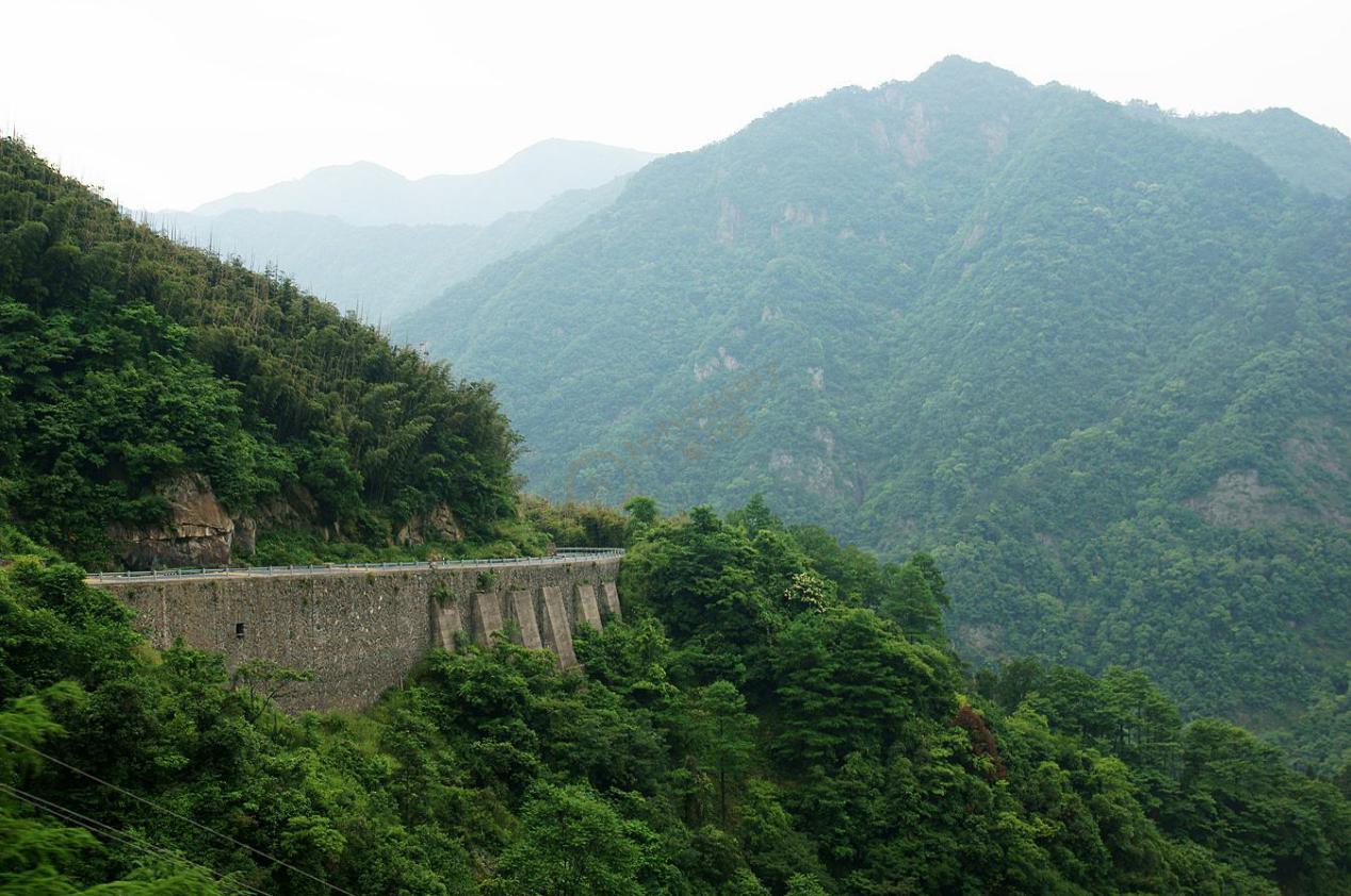 暑期去安吉看竹海山林,放松心情1