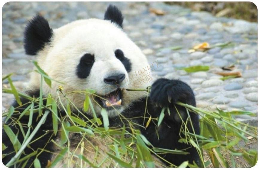 安吉除了竹海,还有什么好玩的景观?2