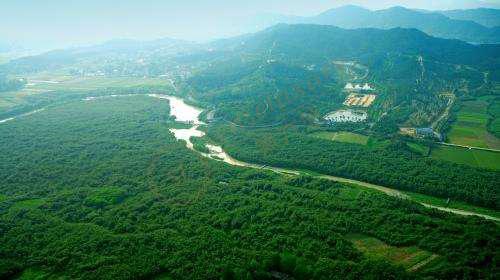 暑期去安吉看竹海山林,放松心情2