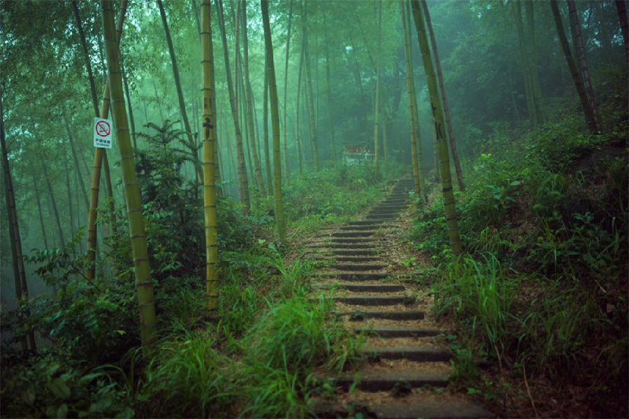 莫干山是暑期必须要去的国内特色景区之一3