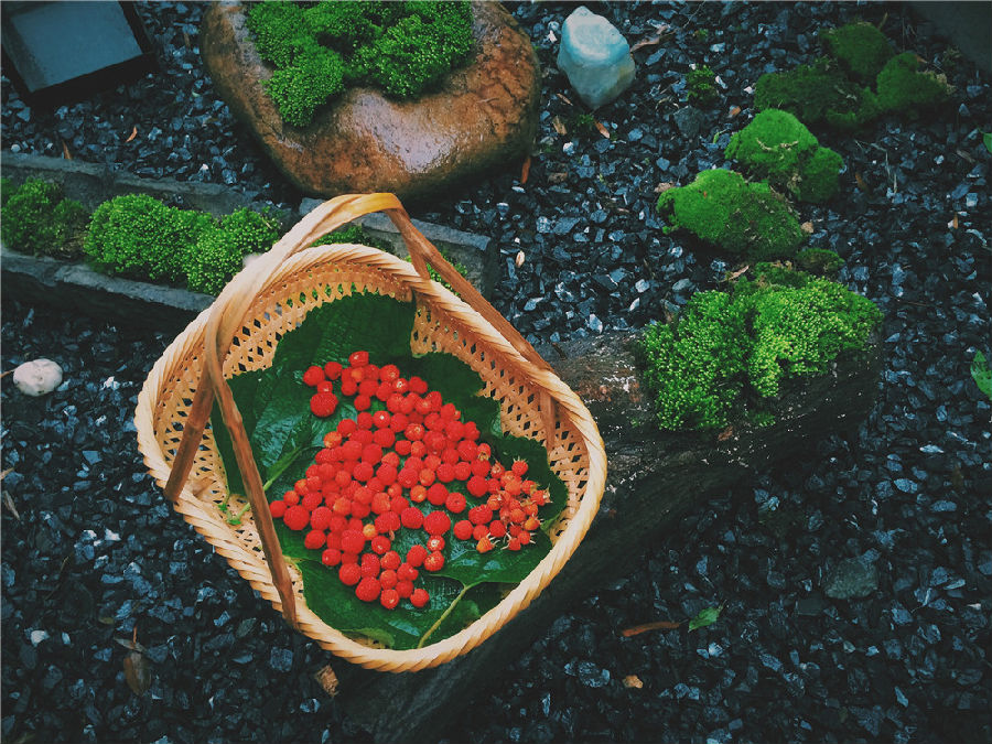 莫干山是暑期必须要去的国内特色景区之一11