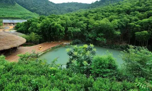 莫干山游玩攻略,避暑休闲的好去处2