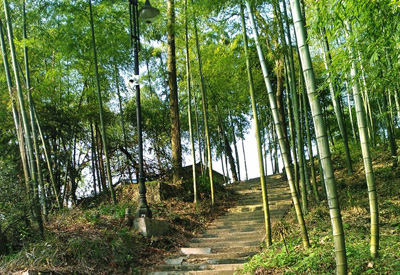 暑期国内亲子游最佳之地——莫干山4