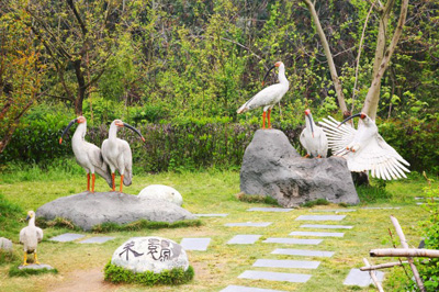 暑期国内亲子游最佳之地——莫干山8