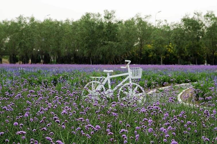 暑期来北京旅游，这几个景点也很不错1