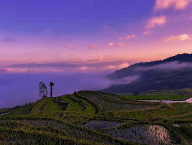 云南梯田中的帐篷营地——康藤红河谷帐篷3