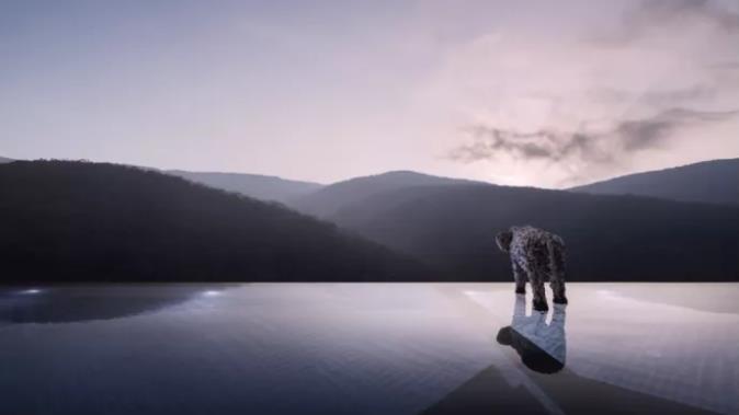 去西双版纳找寻向往的生活，来一场浪漫的旅行2