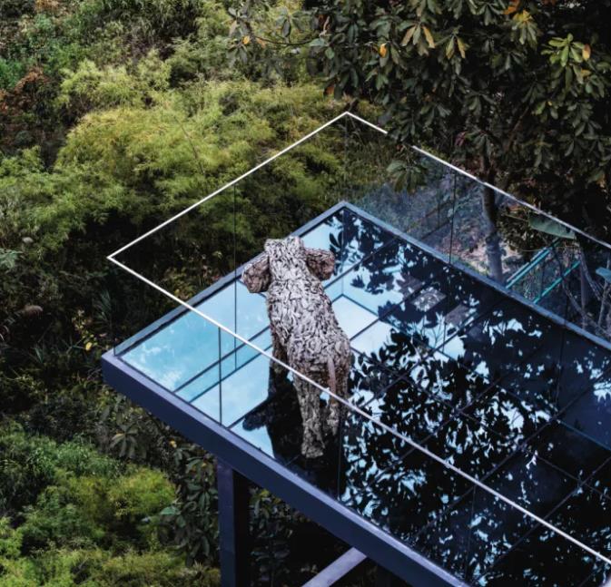 去西双版纳找寻向往的生活，来一场浪漫的旅行4