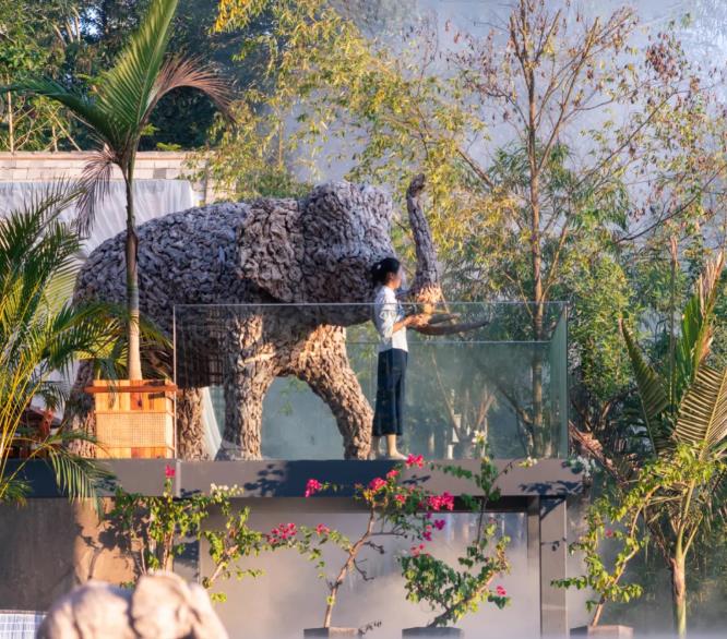 去西双版纳找寻向往的生活，来一场浪漫的旅行6