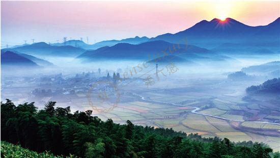 赏安吉竹林景色,度休闲假期时光2