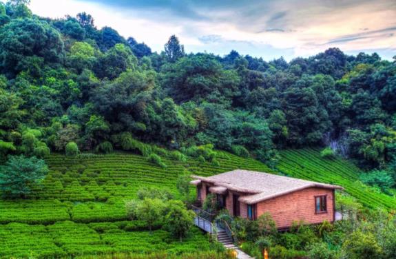 杭州开元森泊度假乐园酒店|入住网红小木屋，与森林作伴2