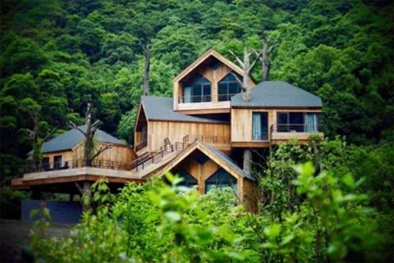 杭州开元森泊度假乐园酒店|入住网红小木屋，与森林作伴5