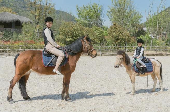 来大山里度过清凉一夏,莫干山游玩攻略已为你打包好7