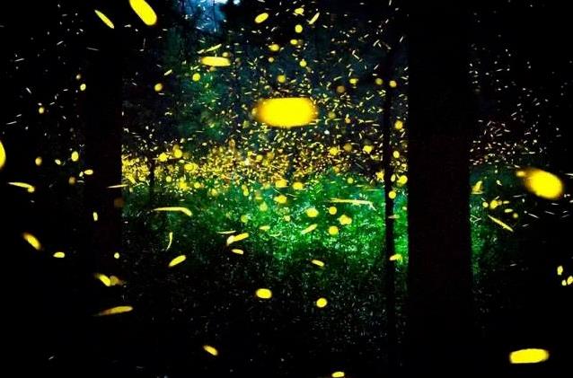 来大山里度过清凉一夏,莫干山游玩攻略已为你打包好12