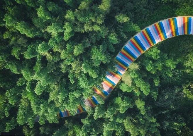 来大山里度过清凉一夏,莫干山游玩攻略已为你打包好14