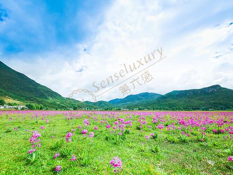 暑假旅游目的地之选,丽江最新旅游攻略2