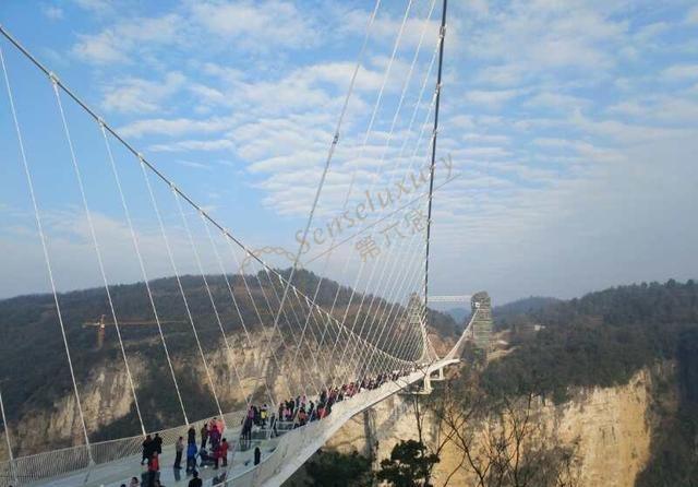 来到张家界旅游,一定不要错过玻璃桥和玻璃栈道2