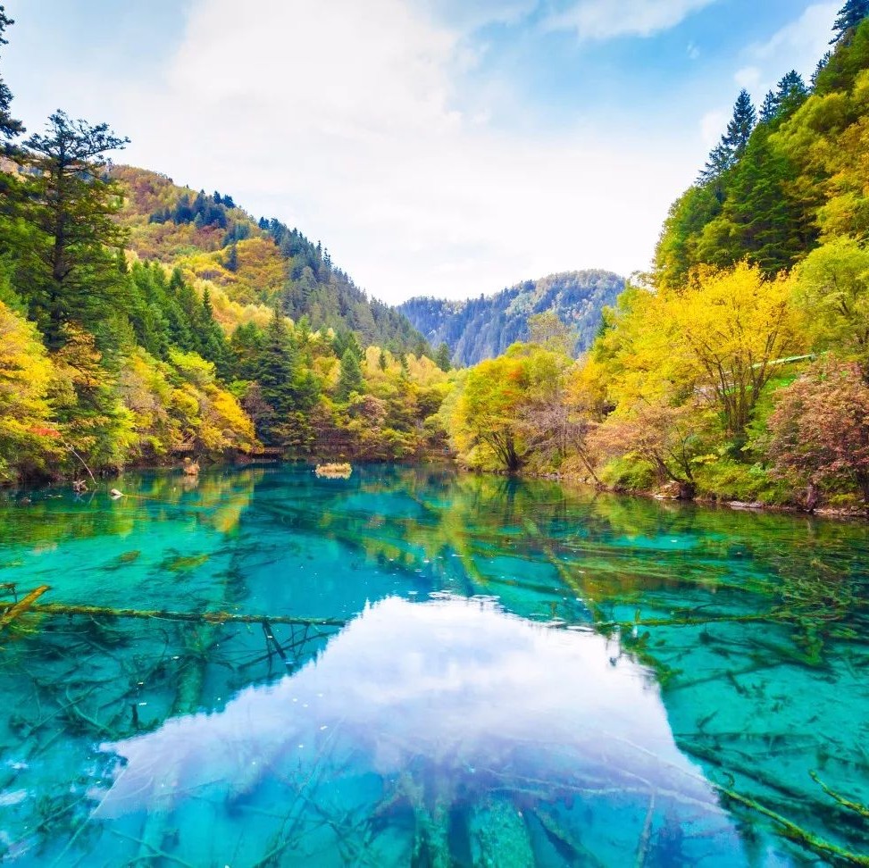 国庆九寨沟旅游攻略，带你走进一个金色九寨2