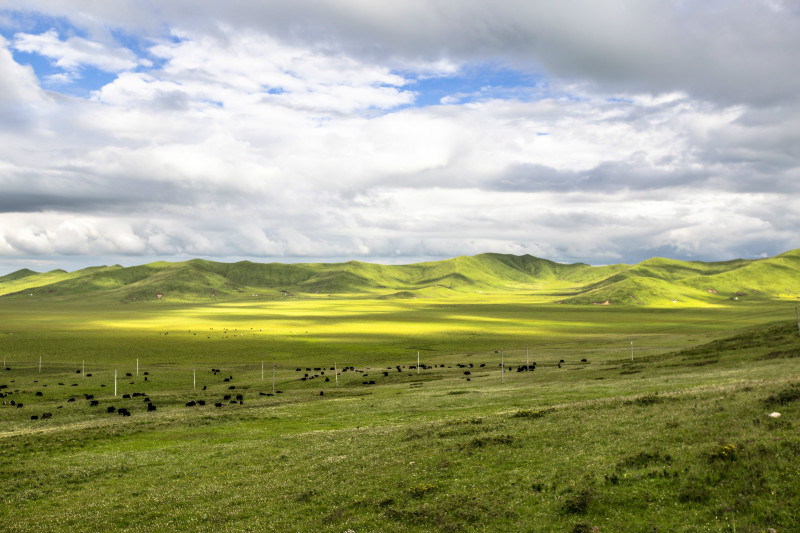 2020国庆黄金周，选择四川当然无可厚非了！4