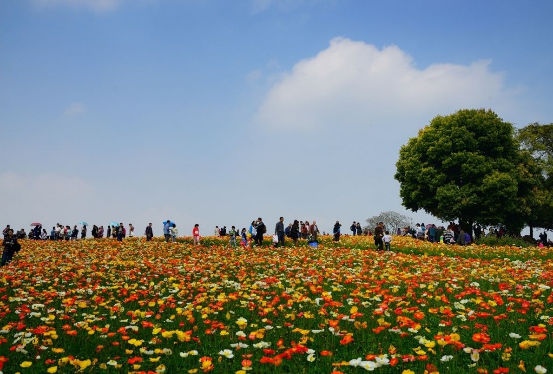 十一国庆石象湖一日游,成都周边游佳地1