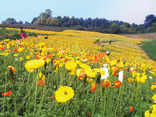 十一国庆石象湖一日游,成都周边游佳地3