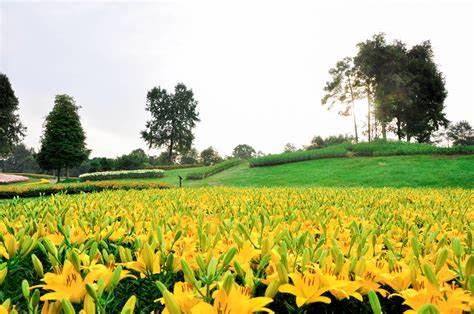 十一国庆石象湖一日游,成都周边游佳地6