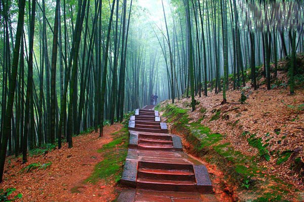 国庆旅游胜地——蜀南竹海,你一定不要错过4